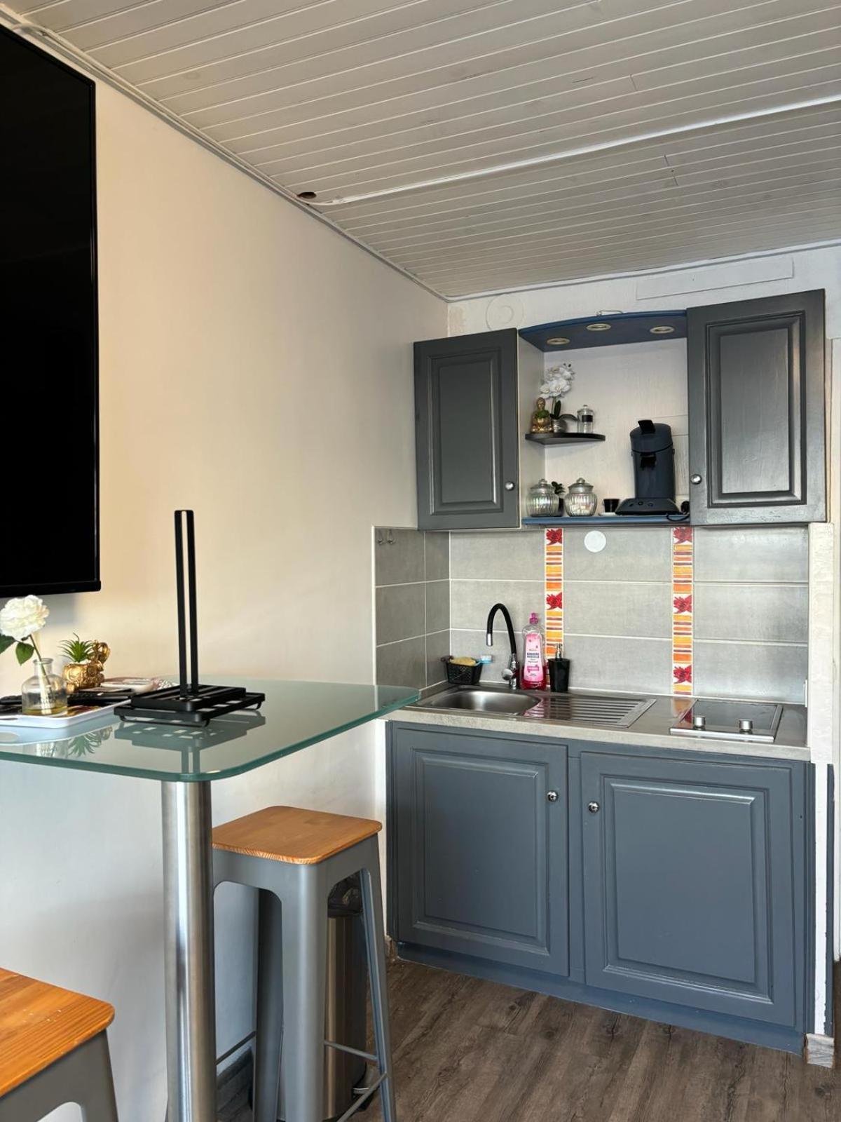 46 Ile Paradise Vue Port Agde Eksteriør billede